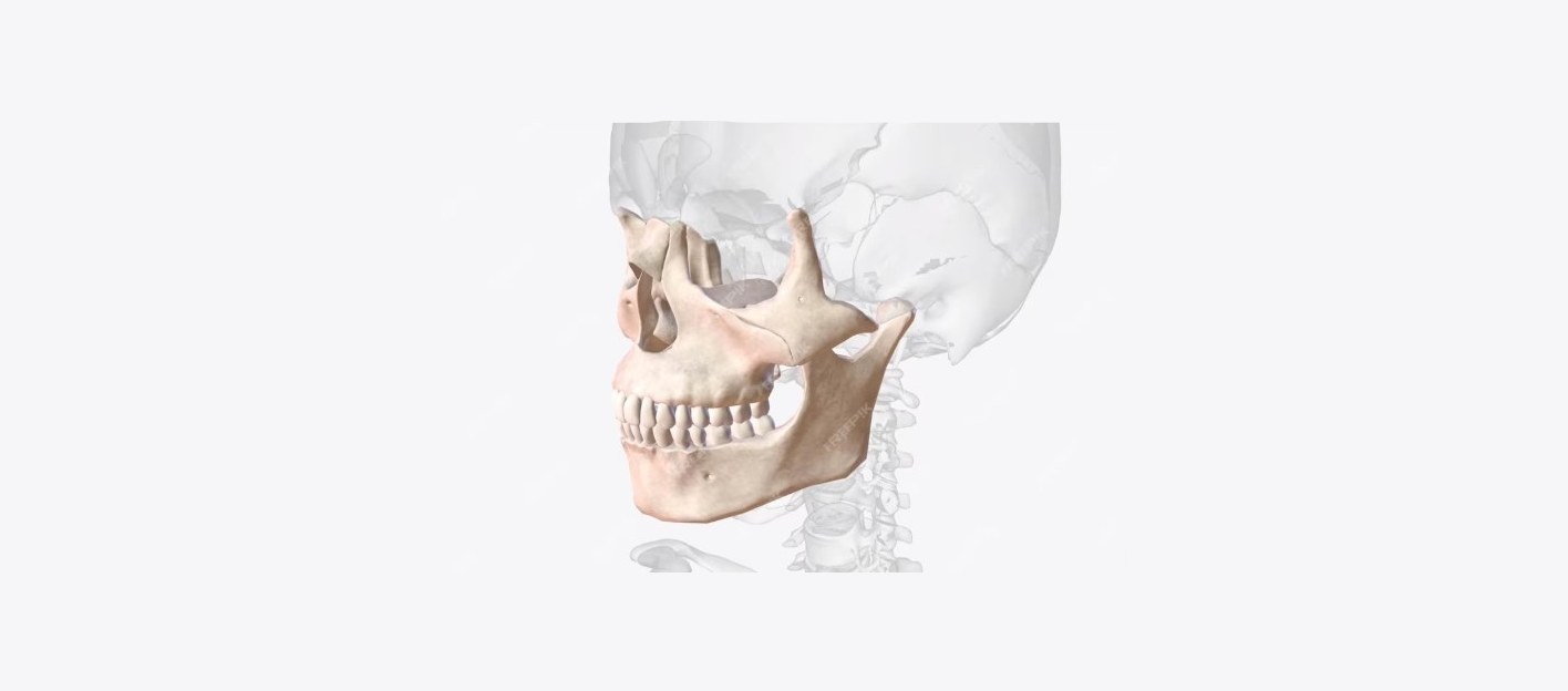 Хто такий гнатолог і чим він відрізняється від стоматолога